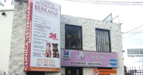 CLINICA VETERINARIA BERKANA AVENIDA PRADILLA 6 CON 59 CLINICA VETERINARIA BERKANA AVENIDA PRADILLA 6 CON 59